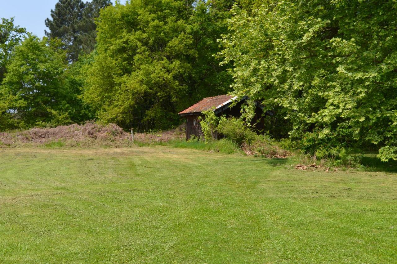 Cabane En Foret Onesse-et-Laharie Exterior photo