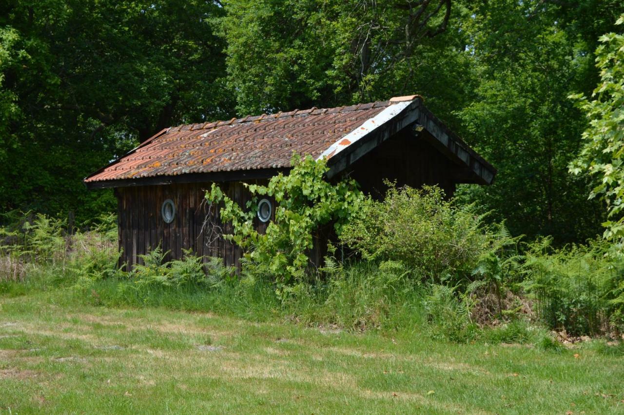 Cabane En Foret Onesse-et-Laharie Exterior photo